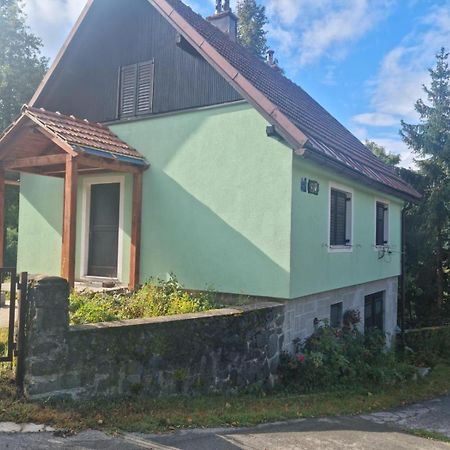 Forest Chalet Zalesina Экстерьер фото