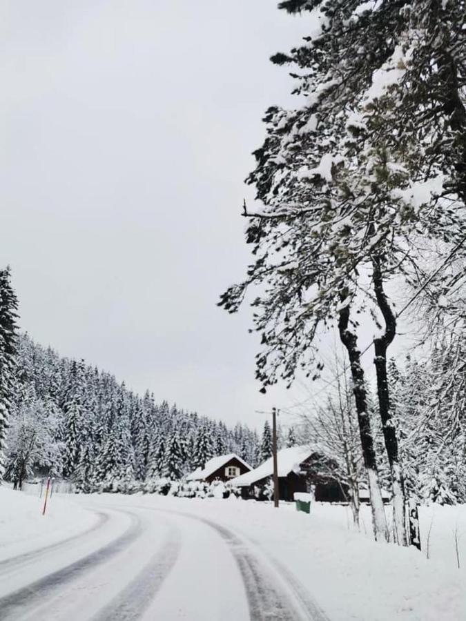 Forest Chalet Zalesina Экстерьер фото