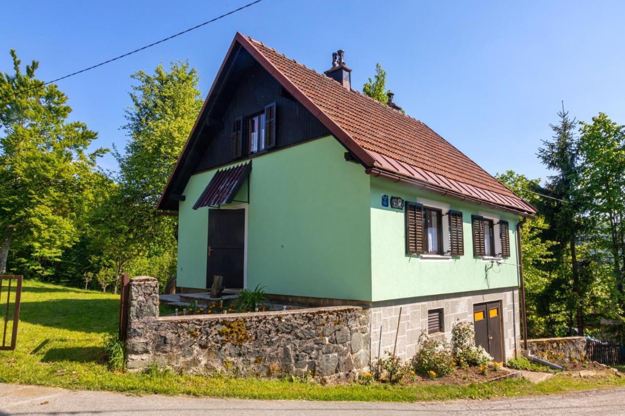 Forest Chalet Zalesina Экстерьер фото