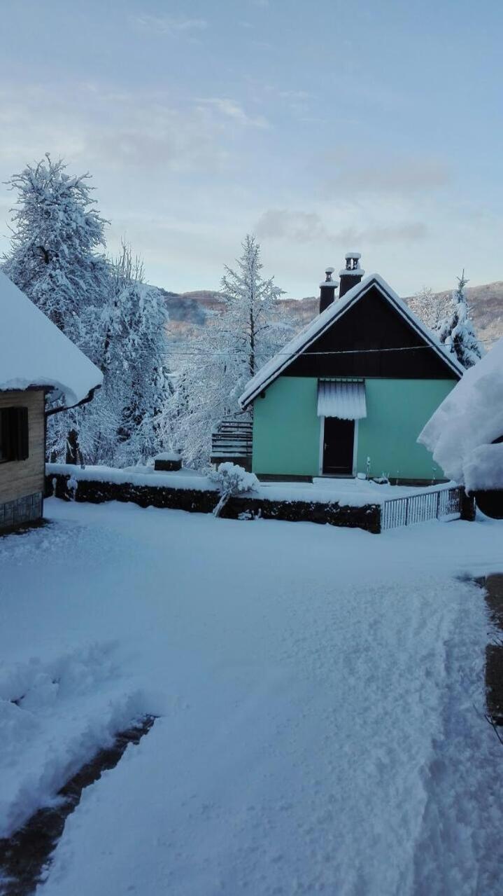 Forest Chalet Zalesina Экстерьер фото